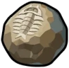 Precious Fossilized Core